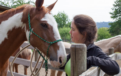 The Horse that’s a Healer