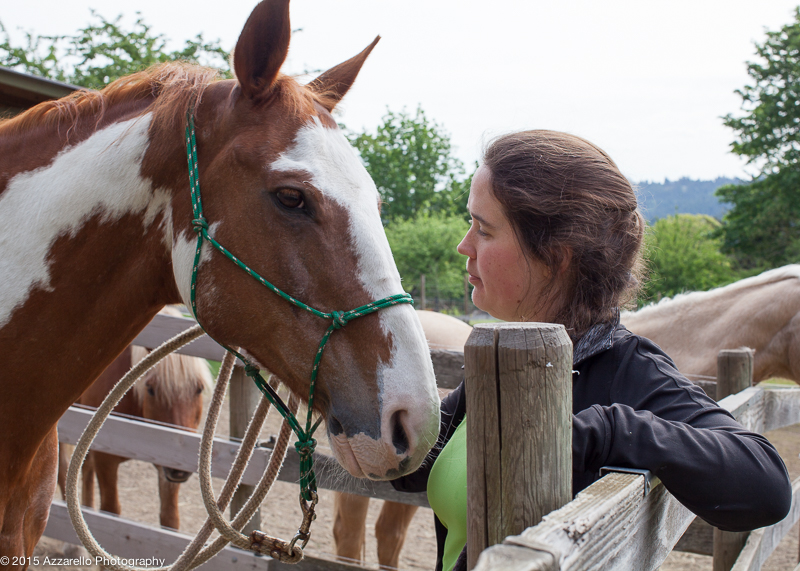 The Horse that’s a Healer